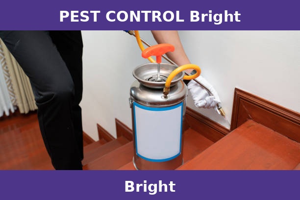 PEST CONTROL Bright
